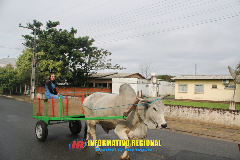 Imagem 110