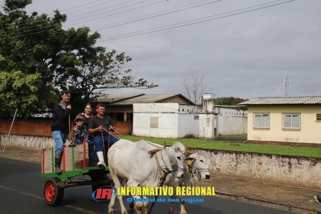 Imagem 119