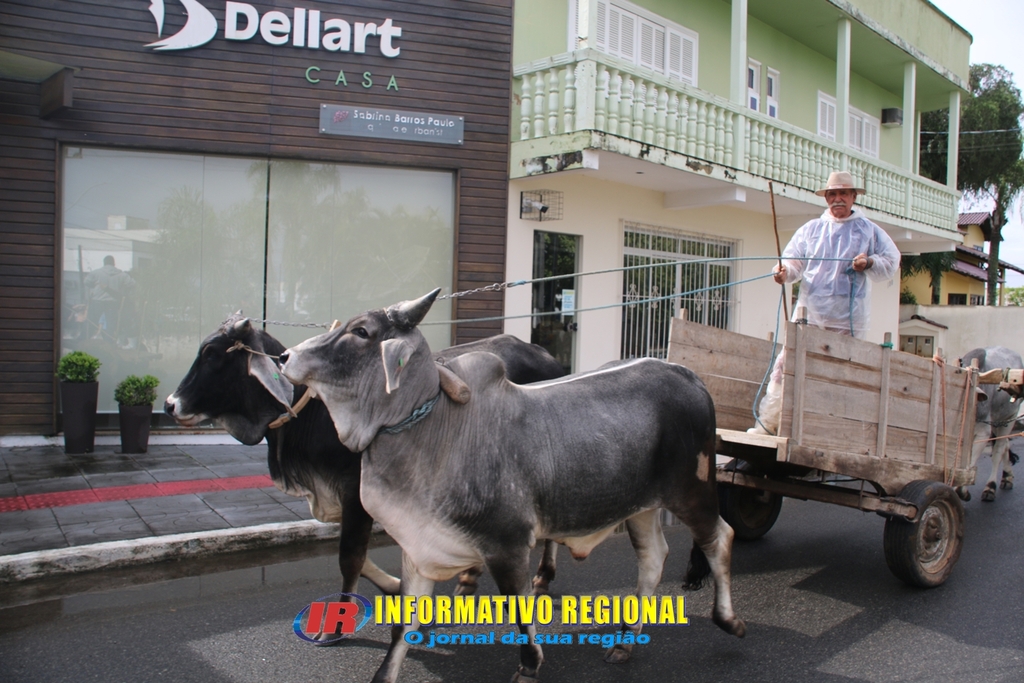 Imagem 142