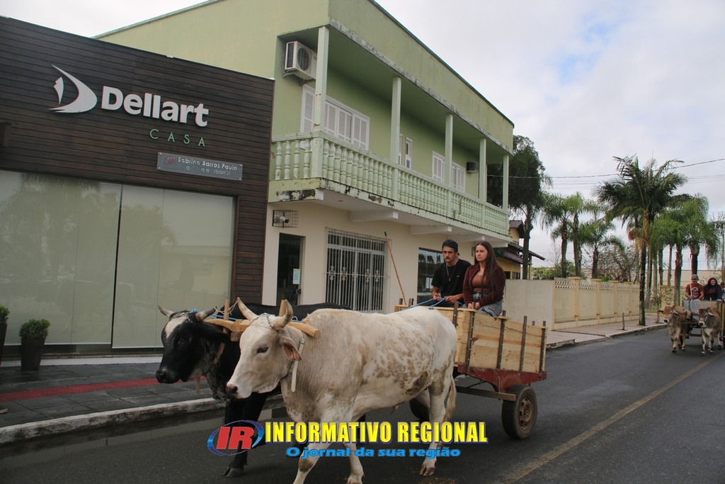 Imagem 186