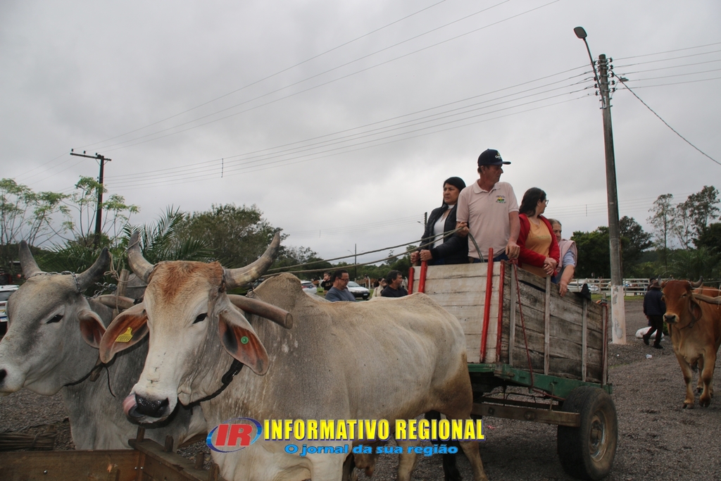 Imagem 233