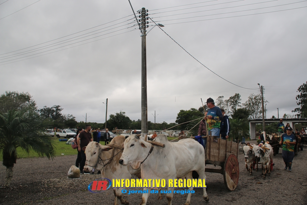 Imagem 235
