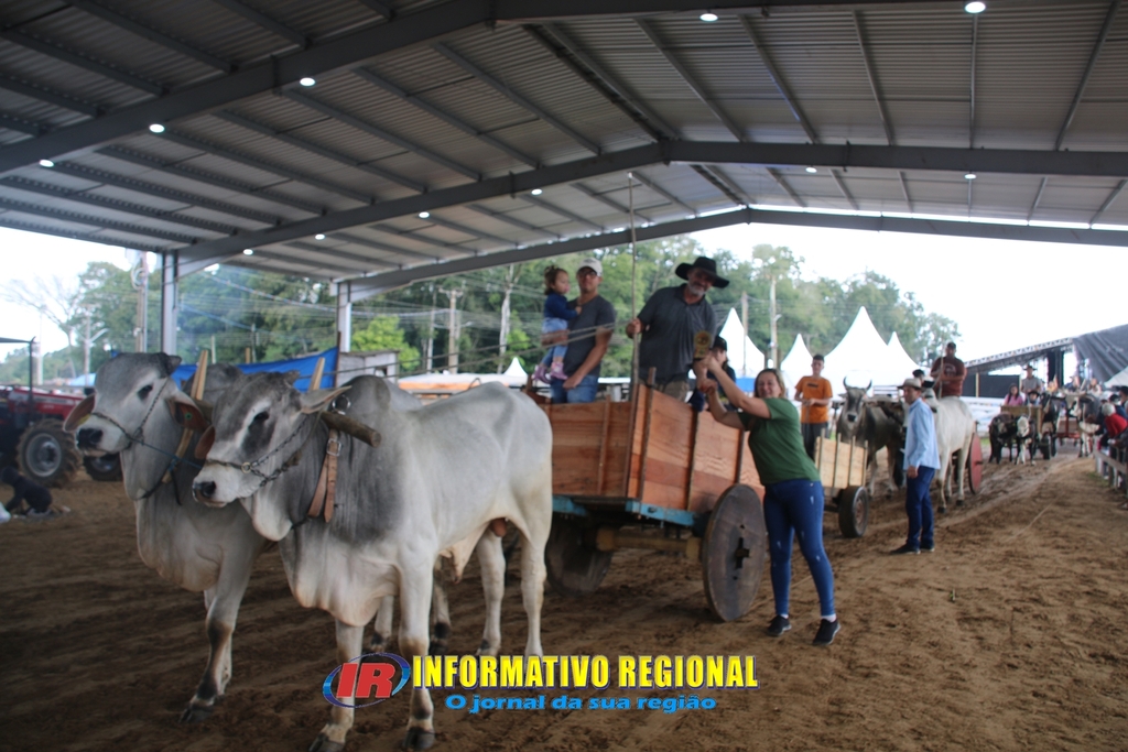 Imagem 409