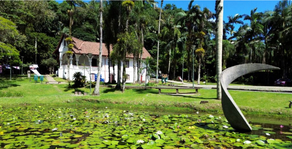 Museu de Arte de Joinville celebra 50 anos com exposição, homenagem e programação cultural