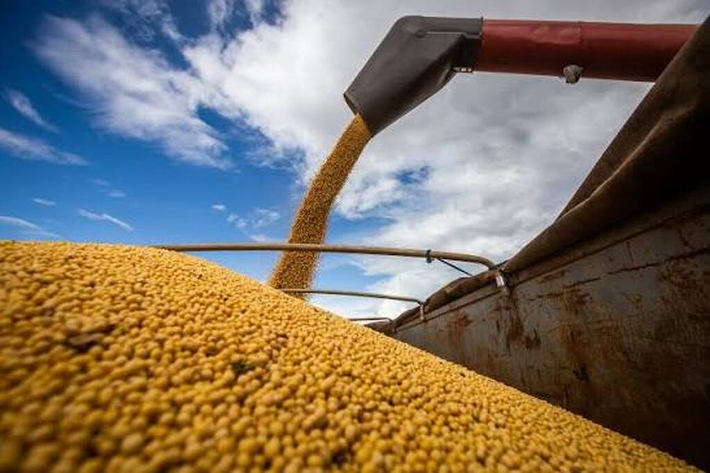 A China é a fábrica do mundo. Agora quer ser também a fazenda