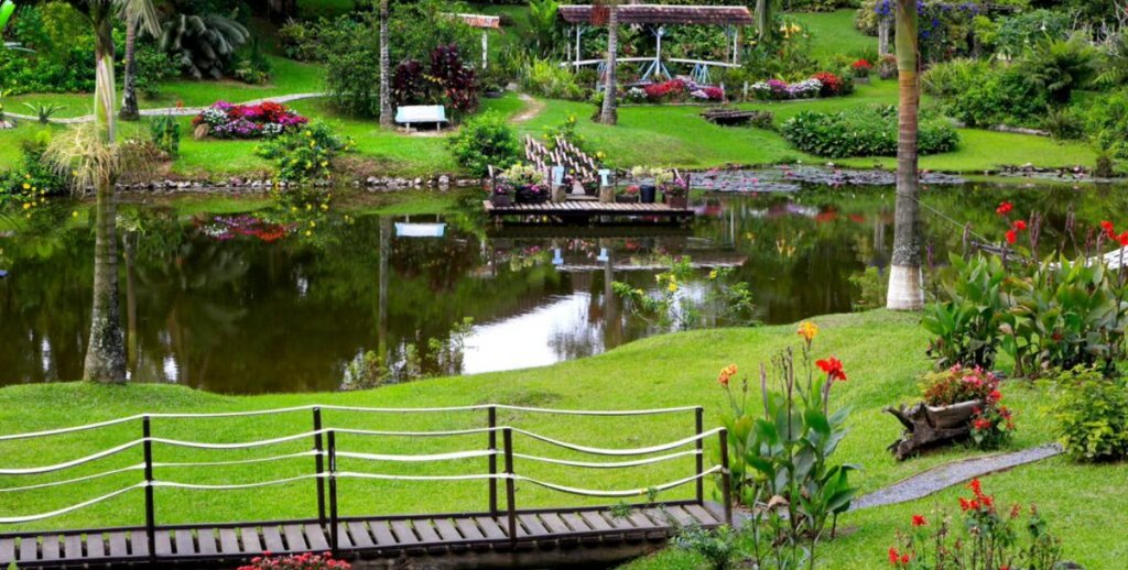 Concurso busca jardins que ajudam a manter Joinville como Cidade das Flores