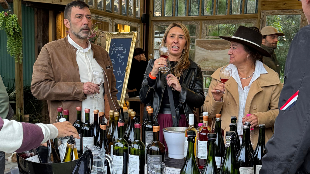Praia do Rosa recebe encontro dedicado a vinhos naturais e produção artesanal