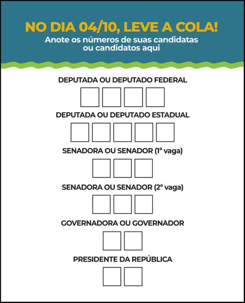 CONFIRA A ORDEM DOS 6 VOTOS NA URNA E COMO USAR A COLINHA ELEITORAL NA HORA DE VOTAR