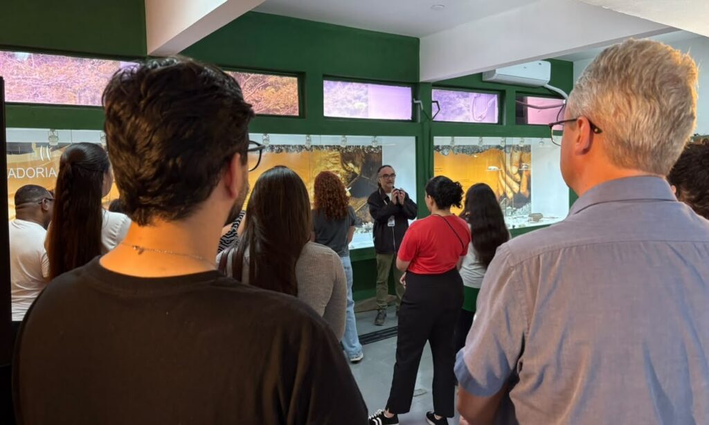 Visitas noturnas e contação de histórias movimentam a agenda cultural da semana em Joinville