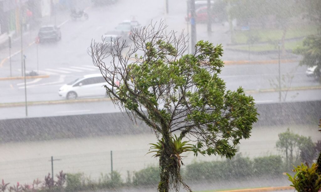 Defesa Civil de Joinville eleva Plancon para estágio laranja devido à chuva intensa