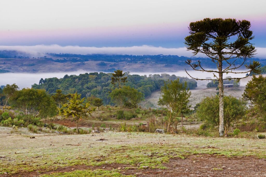Frio persiste em SC nesta semana e chuva forte retorna a partir de sexta