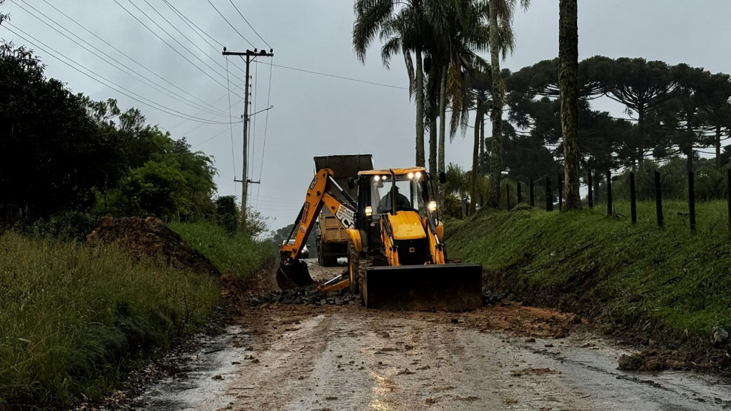 Divulgação - 