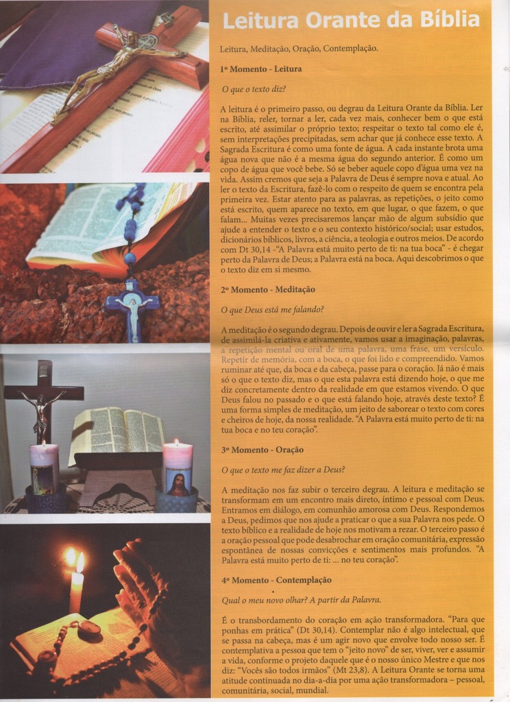 Imagem 3