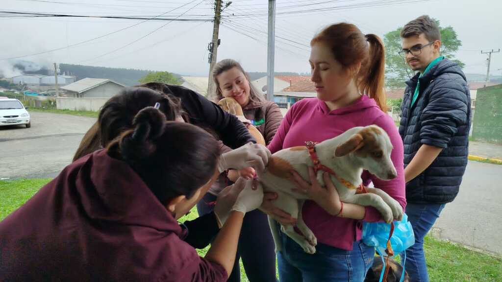 Otacílio Costa amplia ações e estrutura política pública de proteção animal