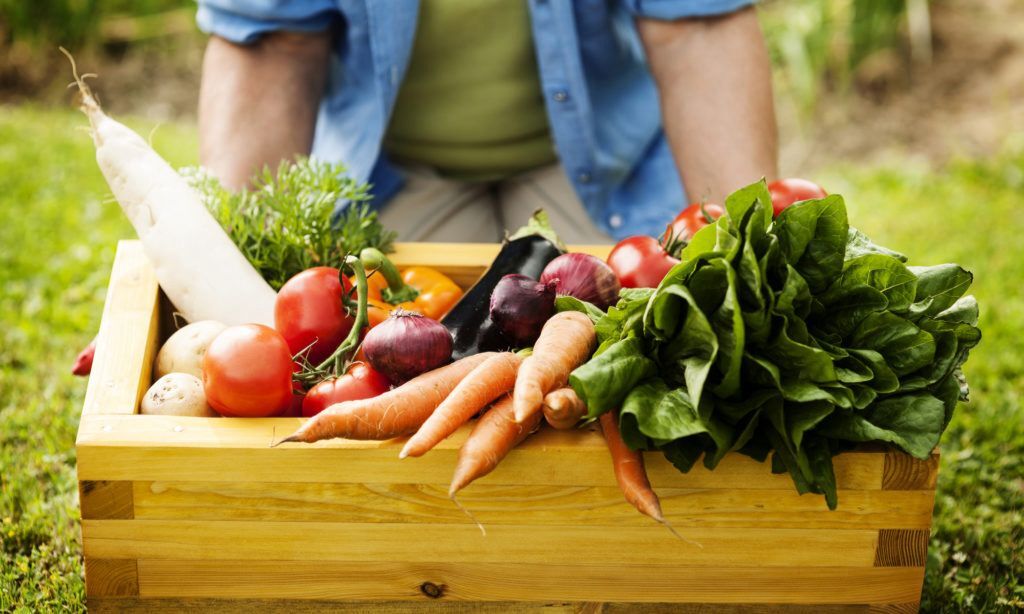 Joinville promove evento gratuito sobre alimentação saudável e segurança alimentar