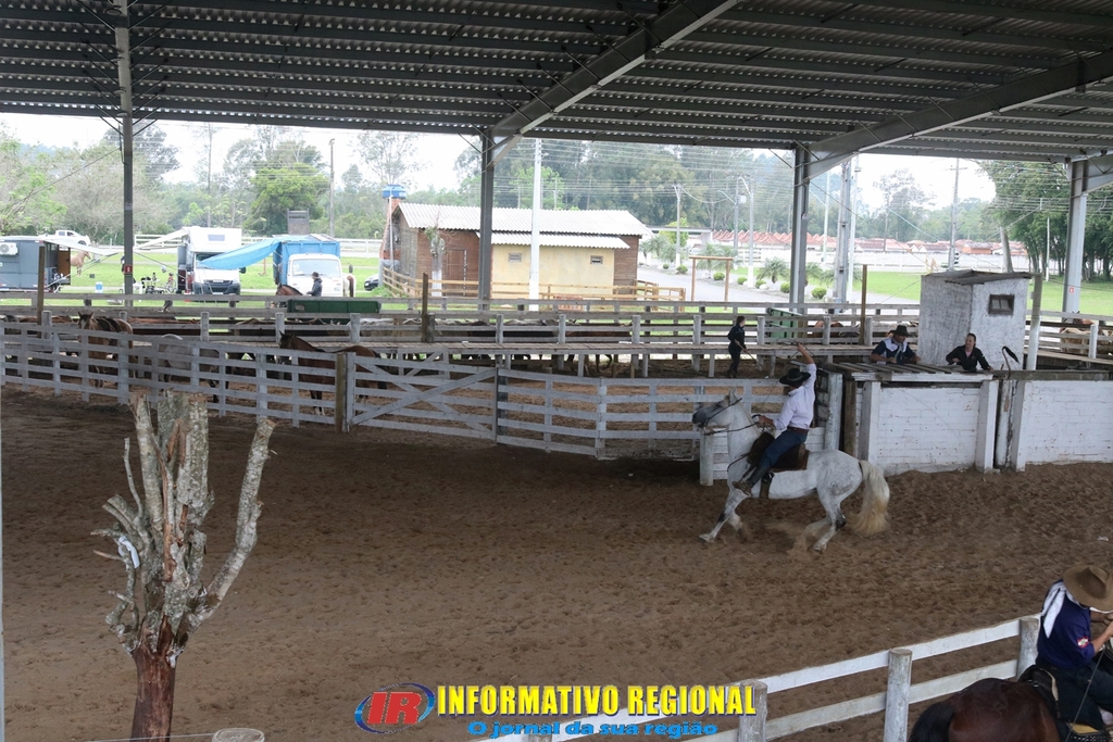 Imagem 5