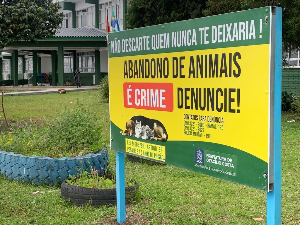 Otacílio Costa amplia ações e estrutura política pública de proteção animal