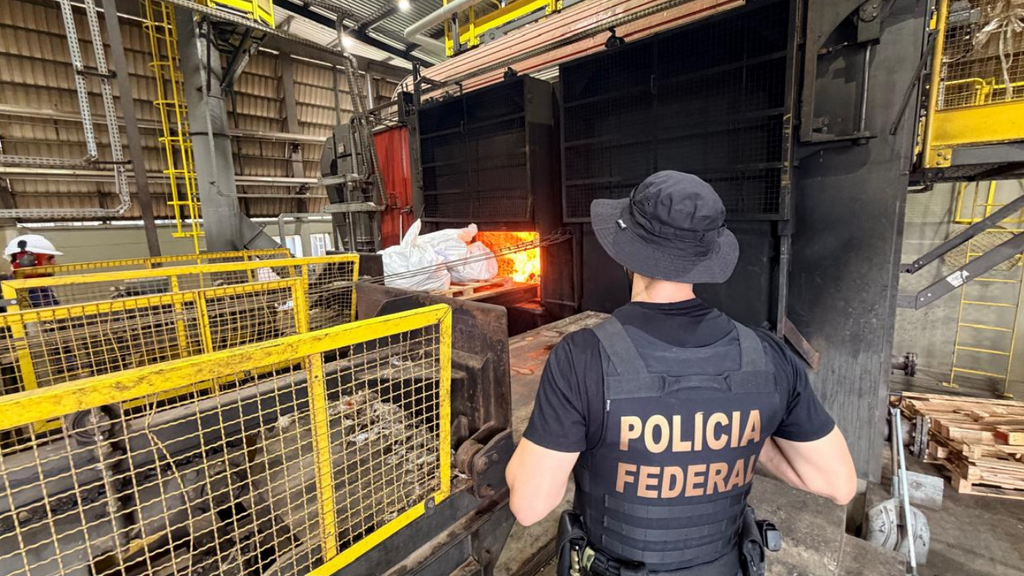 PF destrói mais de 2 toneladas de drogas apreendidas em Santa Catarina em dez dias