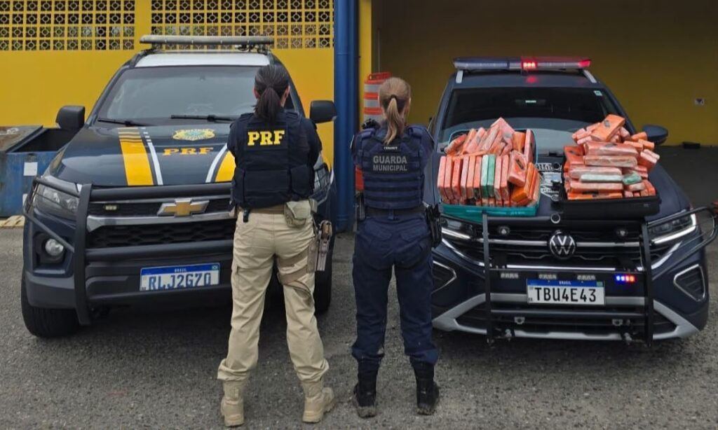 Guarda Municipal apreende 70 kg de maconha na região de Pirabeiraba, em Joinville