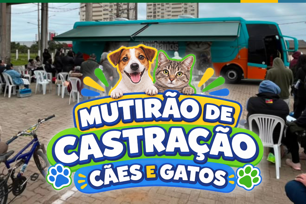 CUIDADO, AMOR E SAÚDE PÚBLICA: TORRES REALIZARÁ MUTIRÃO DE CASTRAÇÃO GRATUITA DE CÃES E GATOS