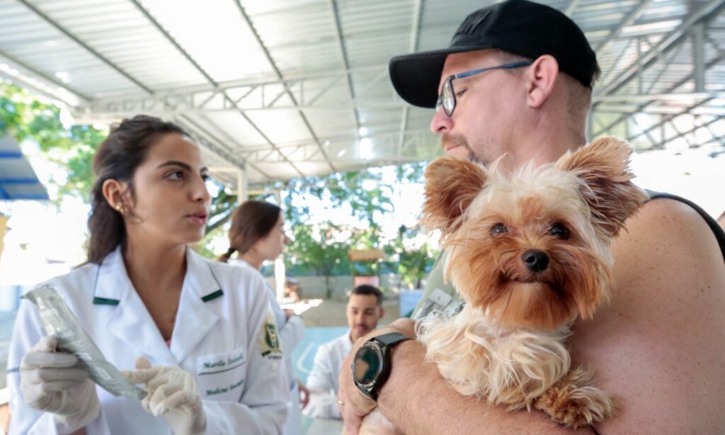 Mutirão em Joinville oferece microchipagem e vacina contra raiva para cães e gatos