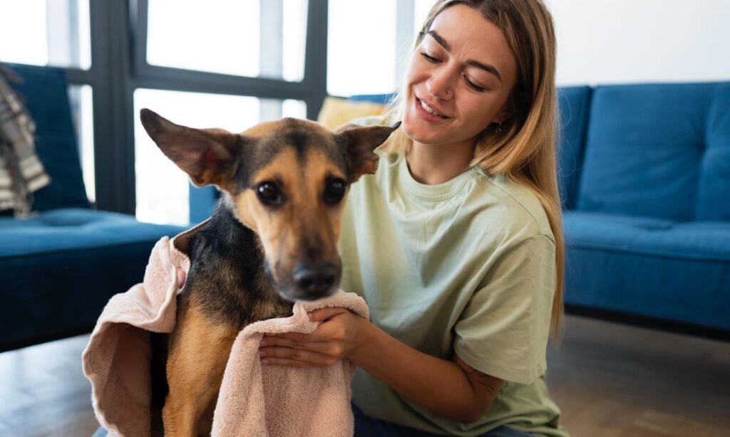 Joinville tem protocolo para resgatar animais em desastres causados por temporais