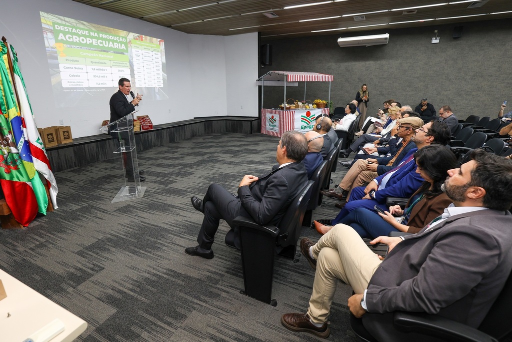 Imagem 2