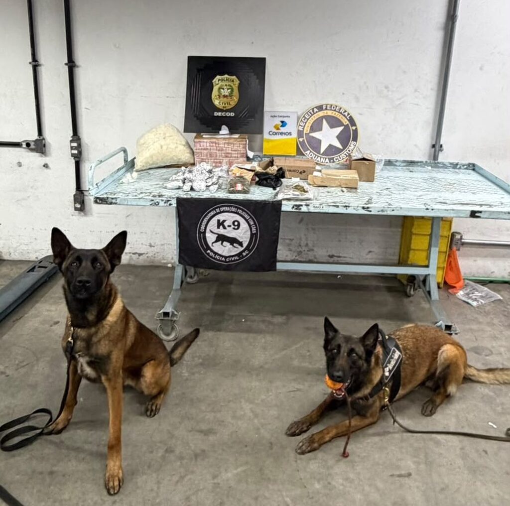 Com atuação de cães farejadores, operação da Polícia Civil apreende drogas e contrabando nas divisas de Santa Catarina