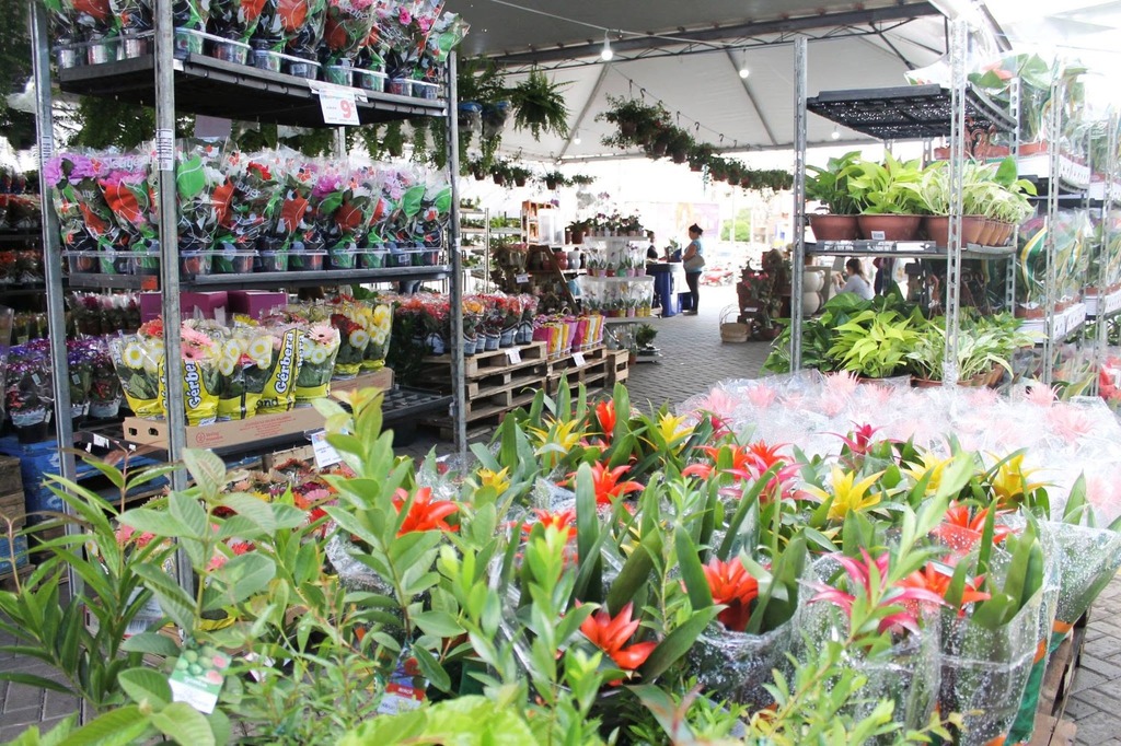 Passarela Supermercados e Via Atacadista promovem nova edição da ExpoFlor com mais de 100 variedades de plantas direto de Holambra
