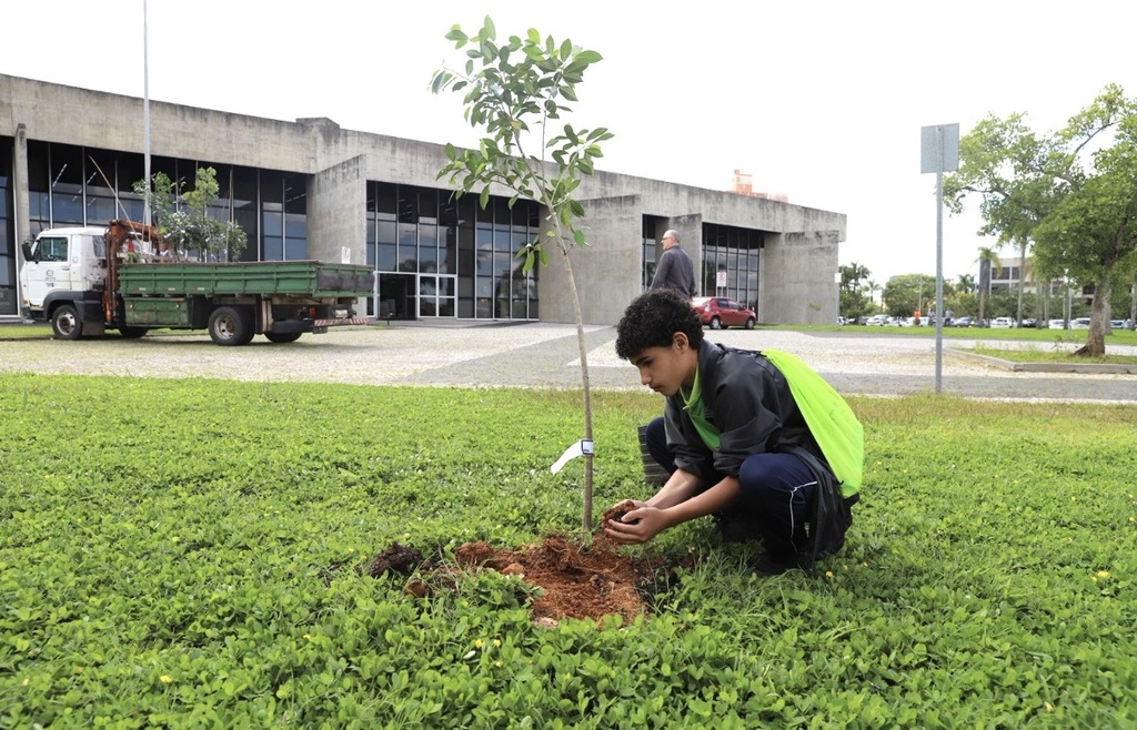 Em Criciúma, parques da Prefeitura e da Santa Luzia recebem o plantio de 400 mudas de árvores