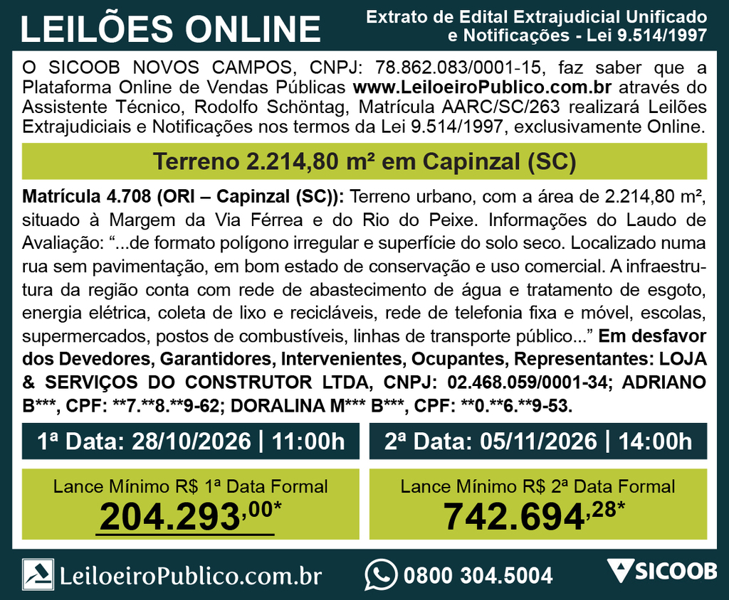 Leilões online