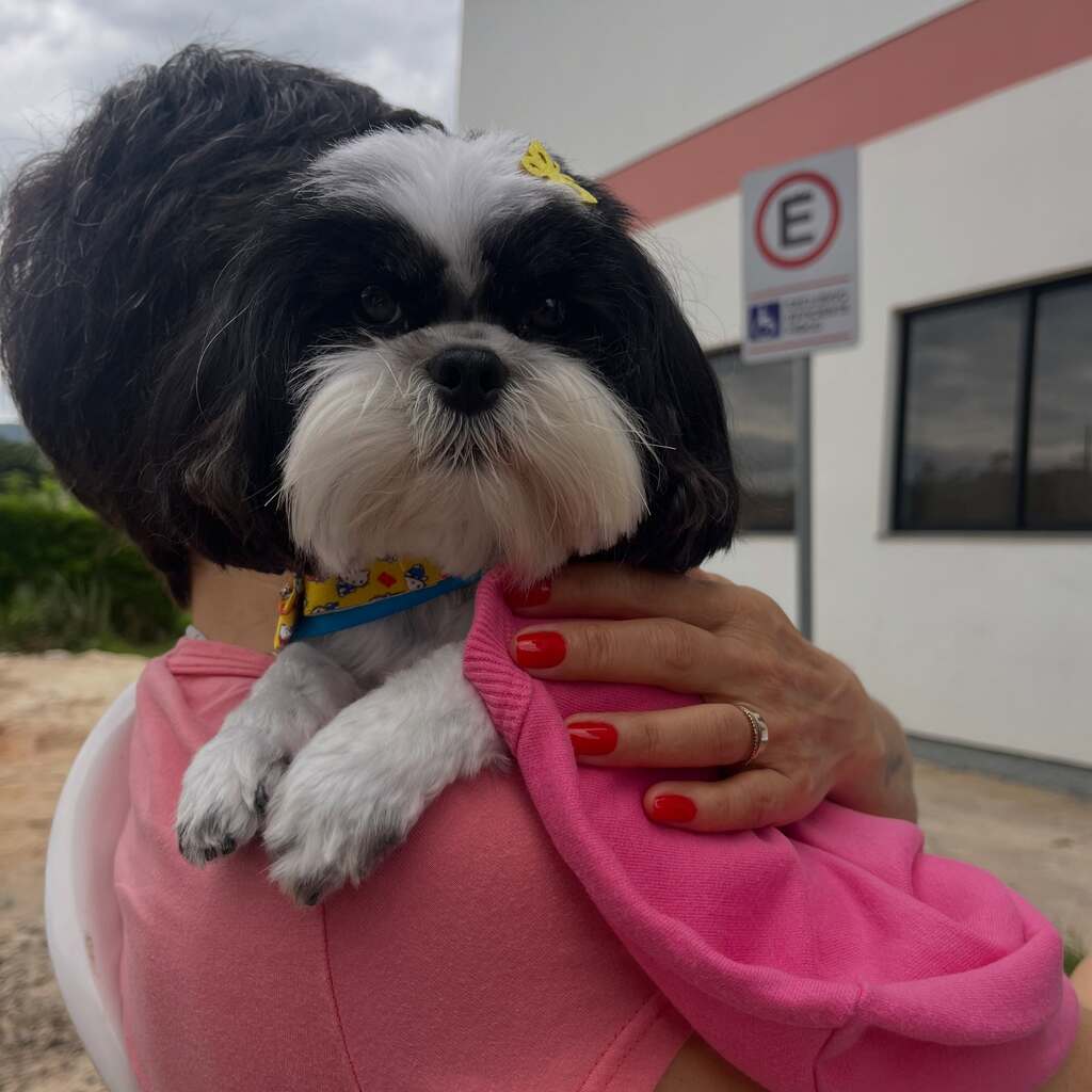 Imagem 13