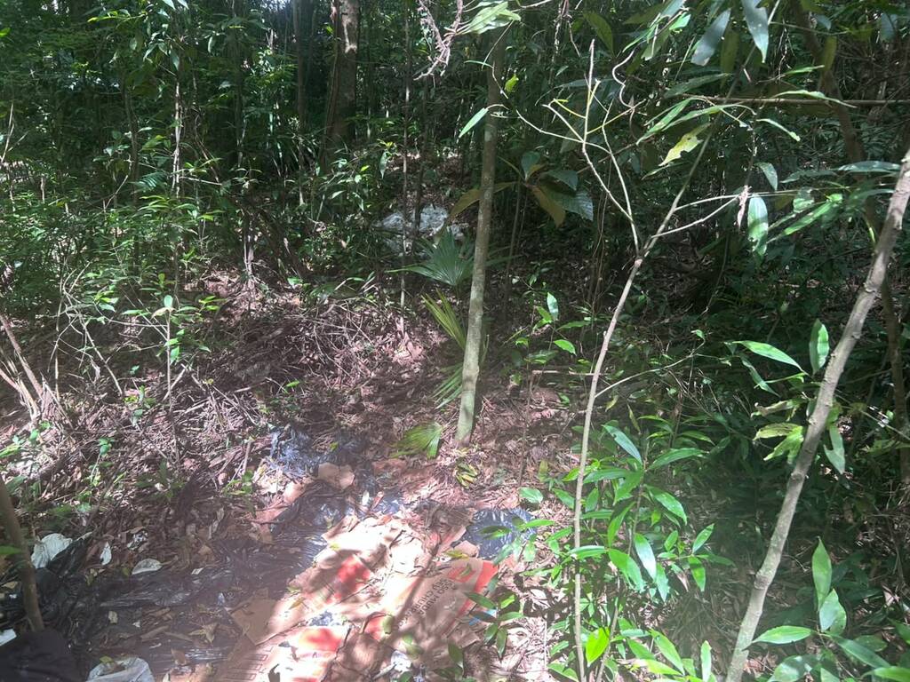 Idoso de 73 anos é encontrado morto em área de mata em Concórdia