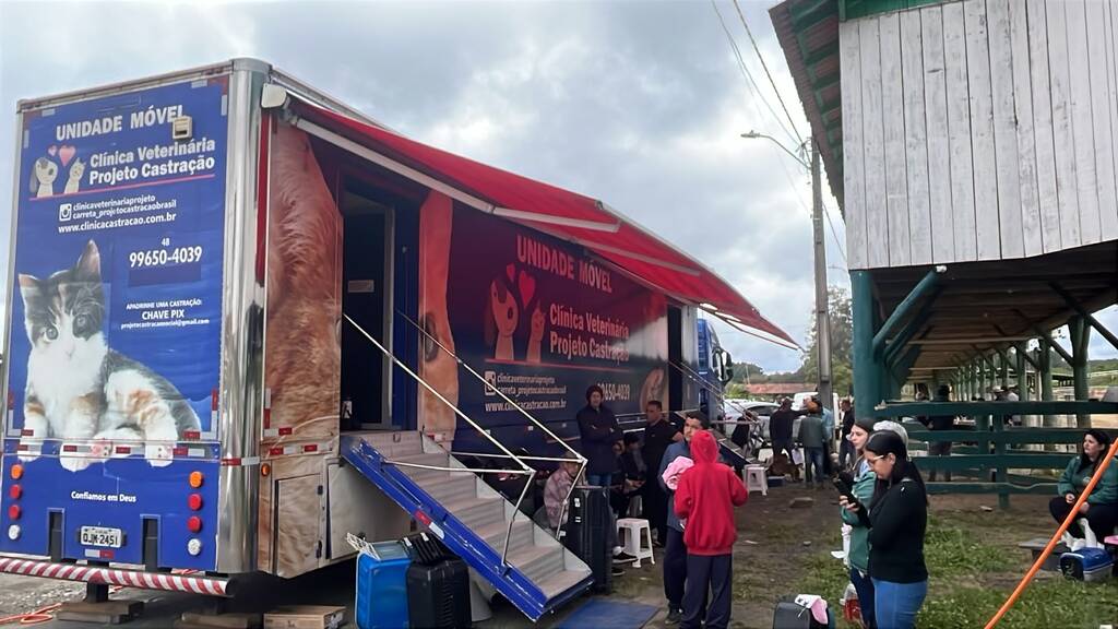 Palmeira realiza castração de 116 cães e gatos pelo programa Pet Levado a Sério