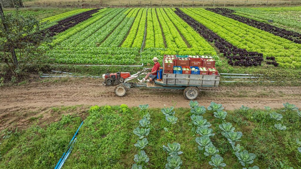 Governo de SC amplia acesso de produtores rurais catarinenses a créditos de ICMS