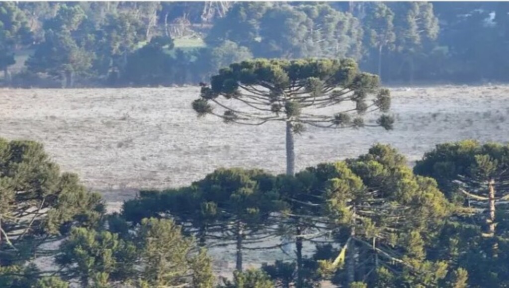 Calor dá lugar a frio e condição de neve novamente