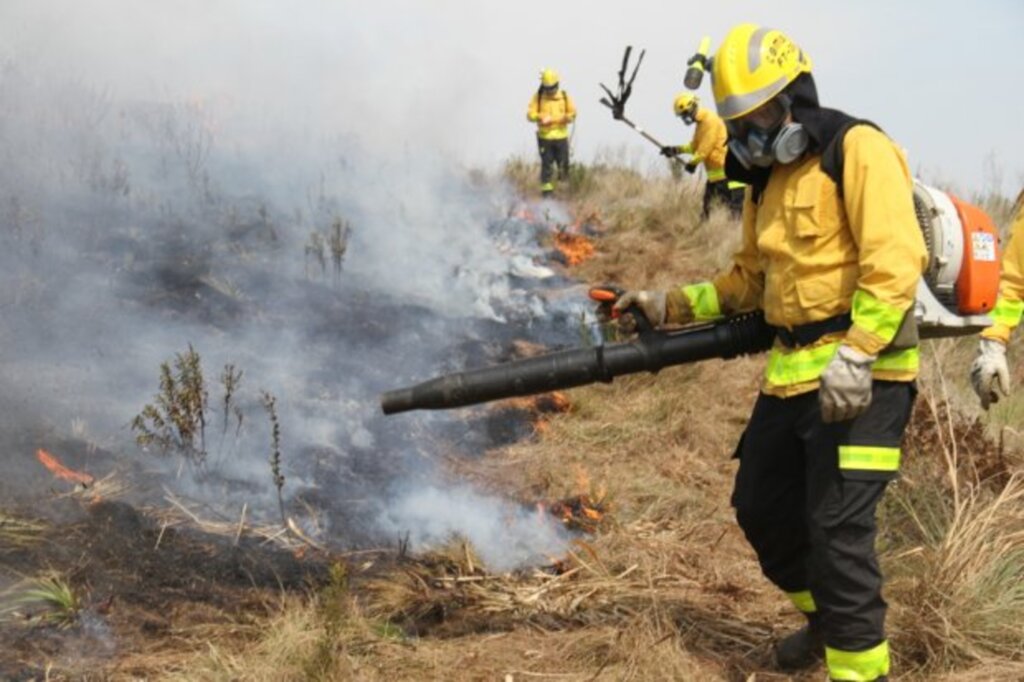 Bombeiros prestaram apoio a CCR em fogo no mato na BR-101