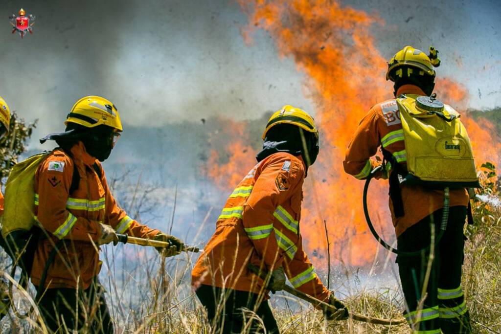 Corpo de Bombeiros atende dois focos de fogo no mato no Arroio