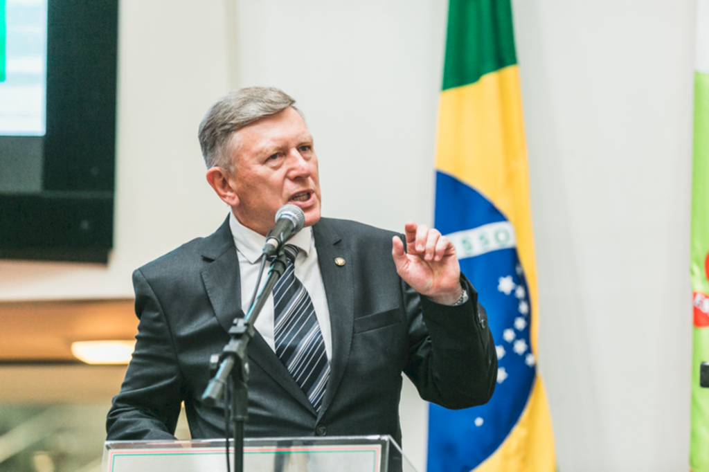 Divulgação - 