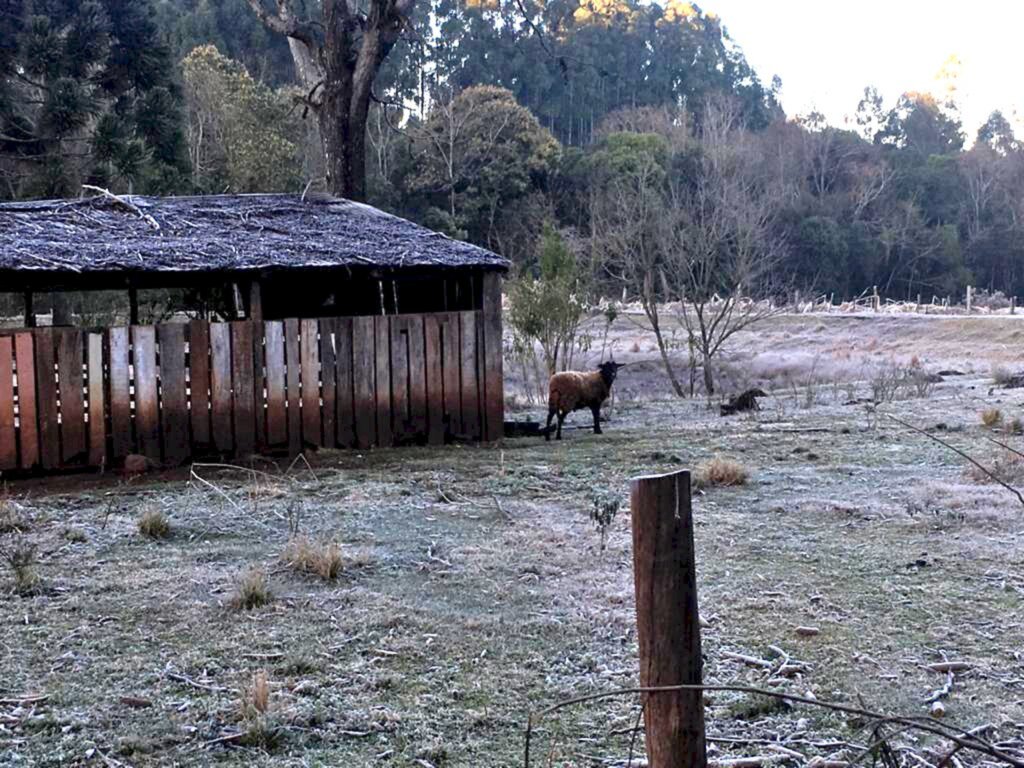 Segue o frio intenso em Santa Catarina neste domingo