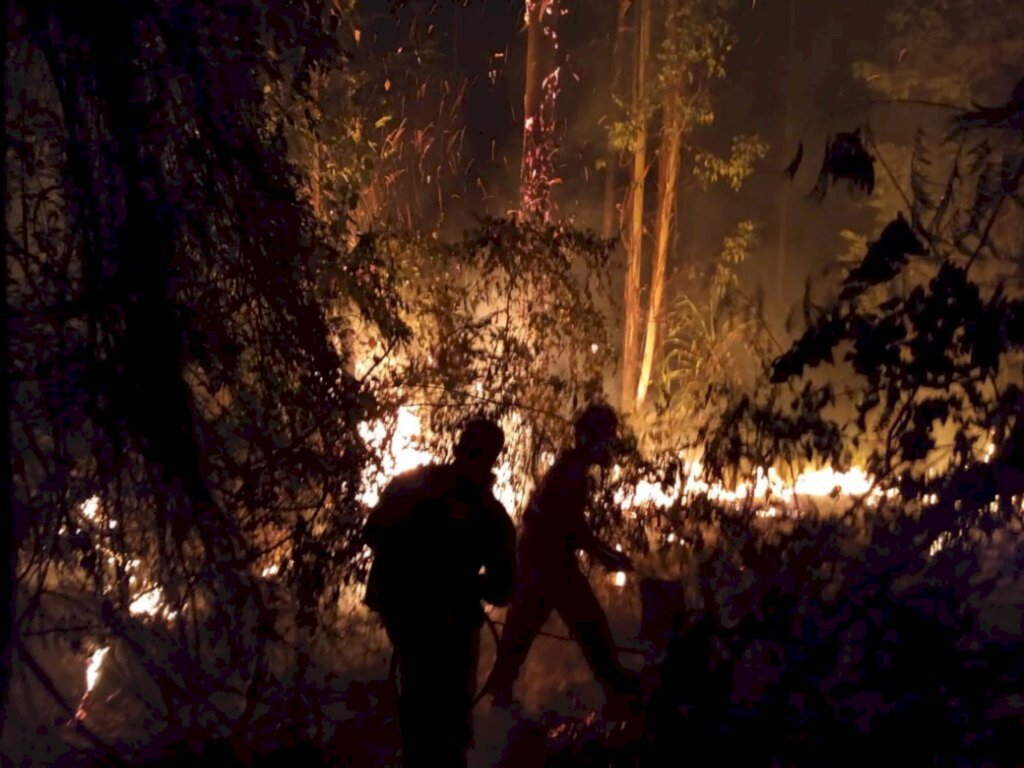 Divulgação Corpo de Bombeiros - 