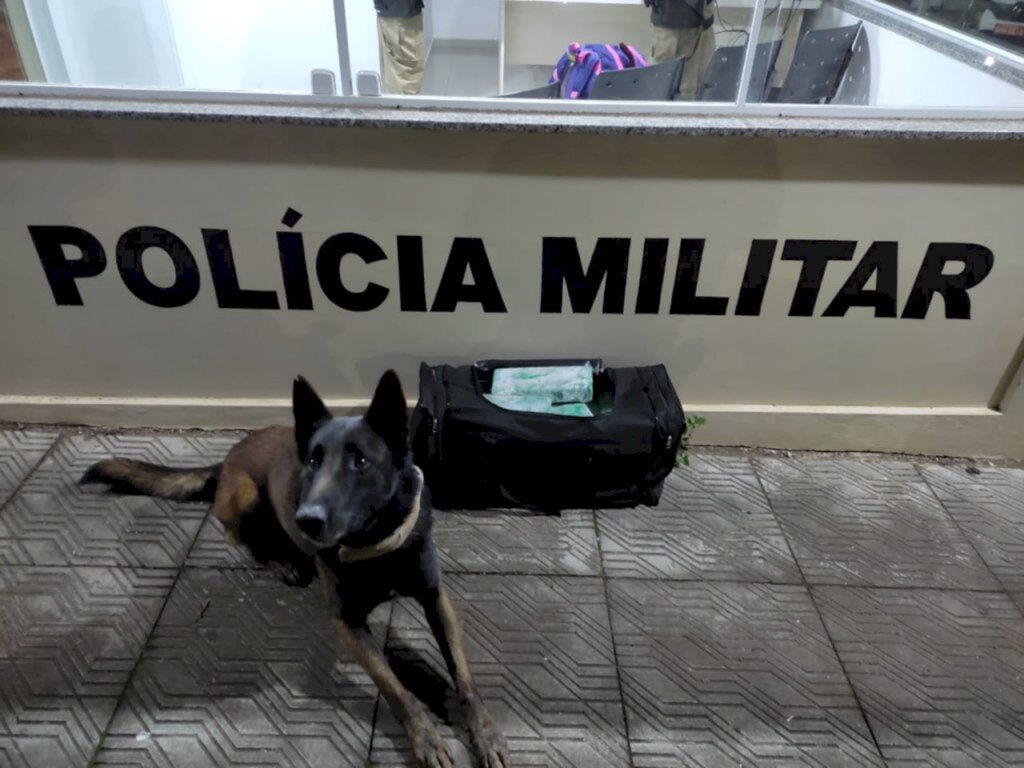 Divulgação PM - 