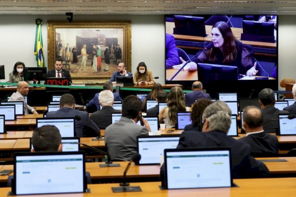 Najara Araújo/Câmara dos Deputados - 