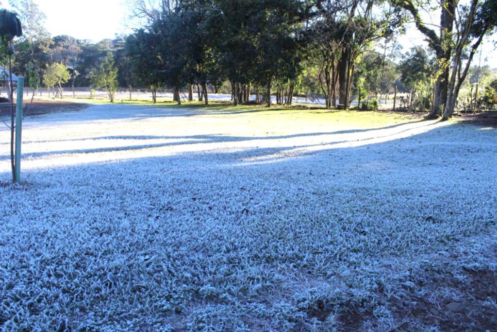 Arquivo Folha do Oeste - 