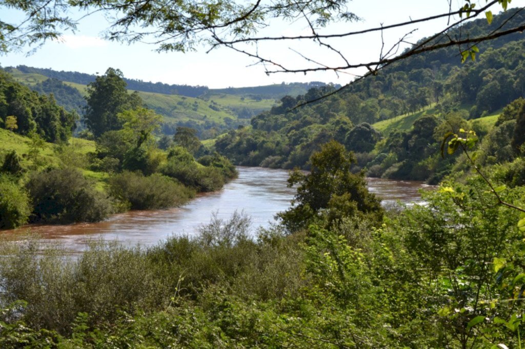 Arquivo/Comitê - 