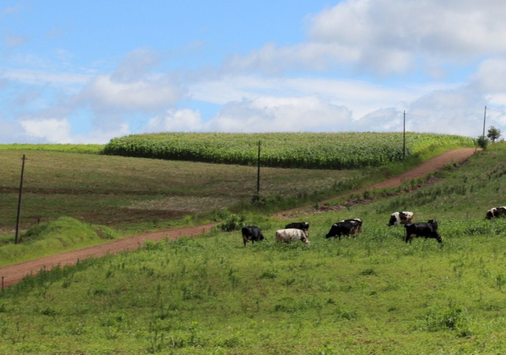 Arquivo Folha do Oeste - 