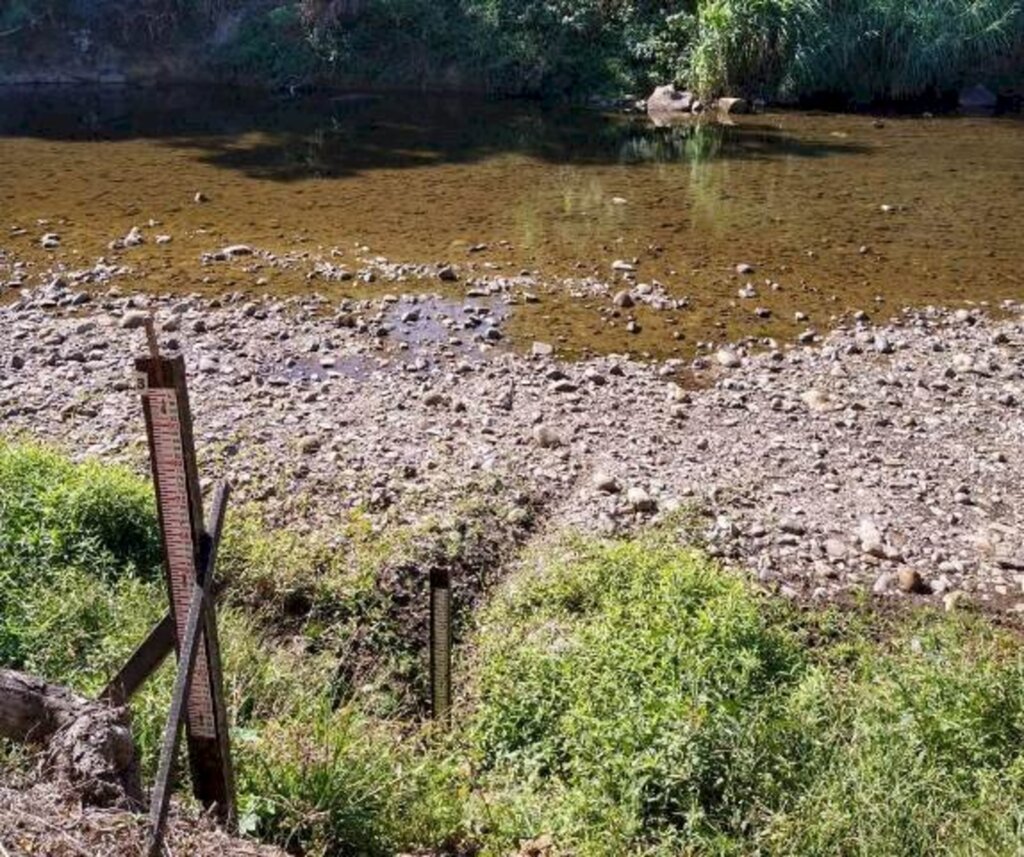 Rúbia Cristina Marian Horst / Epagri - 