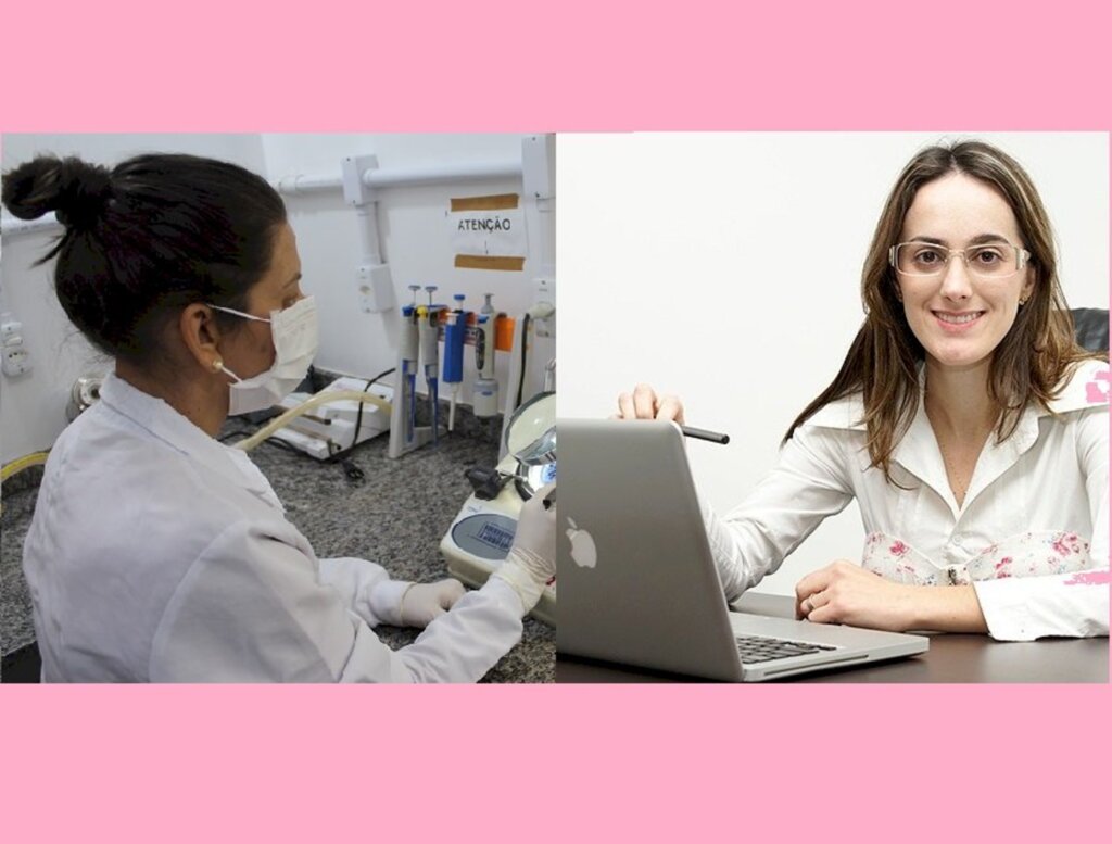 Mulheres participam do desenvolvimento