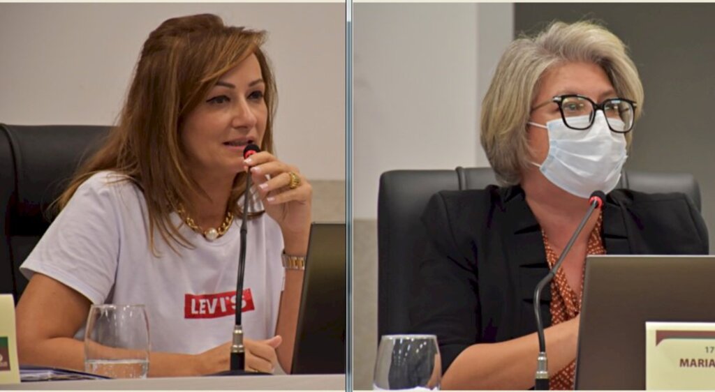 Tiarajú Goldschmidt/Câmara de Vereadores - 