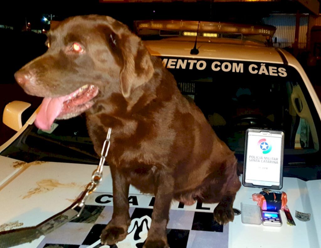 Divulgação / Polícia Civil - 